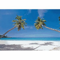 3D Lenticular Postcard Stock (Palm Trees)